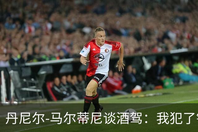 丹尼尔-马尔蒂尼谈酒驾：我犯了错，理所当然要付出代价