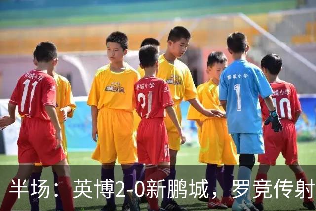 半场：英博2-0新鹏城，罗竞传射，斯坦丘破门