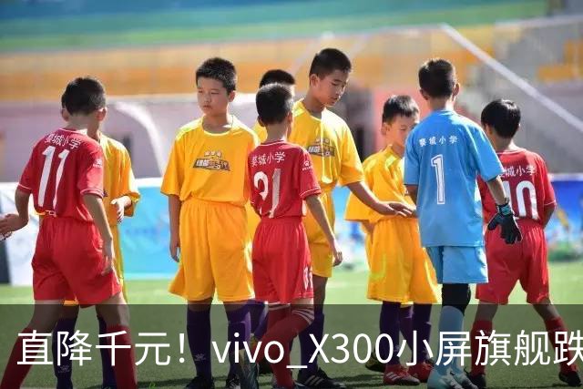 直降千元！vivo X300小屏旗舰跌到3199