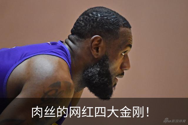 肉丝的网红四大金刚！
