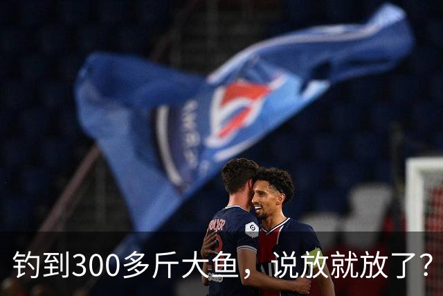 钓到300多斤大鱼，说放就放了？