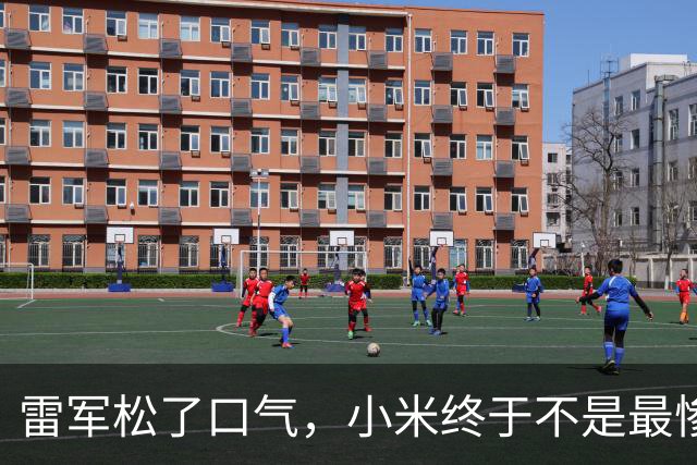 雷军松了口气，小米终于不是最惨了，因为OPPO、VIVO跌的更惨