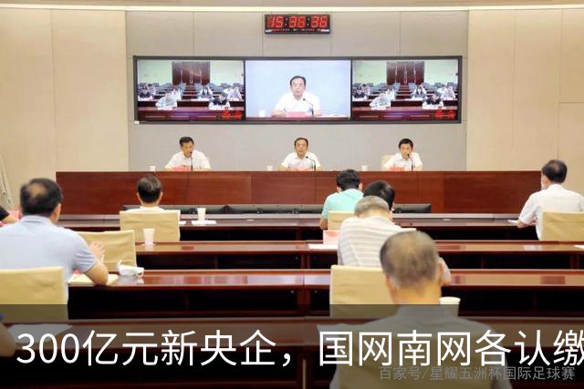 300亿元新央企，国网/南网各认缴37.5亿元
